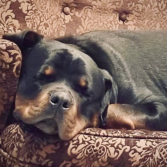 Meet your Posher, Naomi - Picture 2 of 12